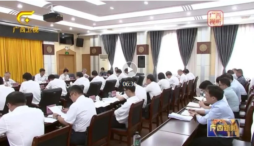 陈刚：以打造南丹关键金属高质量发展综合试验区为突破口带动全区有色金属产业高质量发展